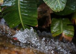 Image result for 4K Wallpaper Nature Water Red