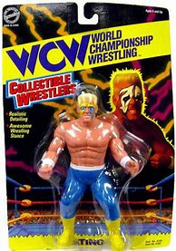 Image result for WCW Wrestling Figures