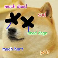 Image result for Dead Doge