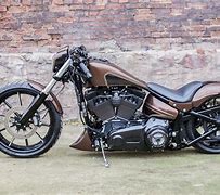 Image result for Harley-Davidson Dirt Drag