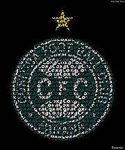 Image result for coxa