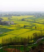 Image result for Chengdu Plain