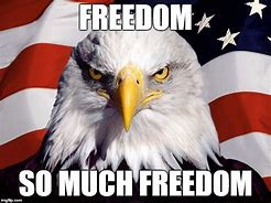 Image result for USA Freedom Meme