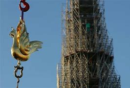 Image result for Rooster Notre Dame