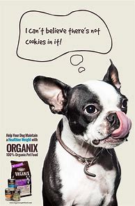 Image result for Funny Dog Food Ads
