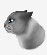 Image result for Sad Cat Face Meme