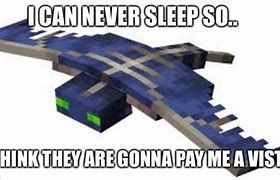 Image result for Minecraft Phantom Memes