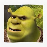 Image result for Bored Shrek