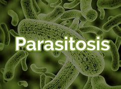 Image result for parasitosis