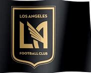 Image result for Lafc Colors