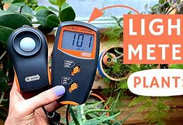 Image result for Light Meters for Plants