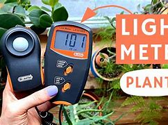 Image result for Plant Light Meter