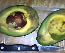 Image result for Rotten Avocado
