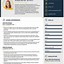Image result for Resume Examples Free