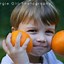 Image result for Funny Apples and Oranges