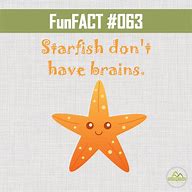 Image result for Unusual Facts About Brains