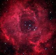 Image result for Galaxy Rose