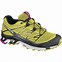 Image result for salomon XT wings