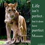 Image result for Good Moments Quotes
