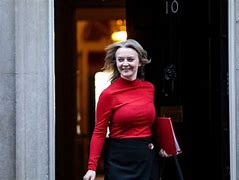 Image result for Liz Truss Red Box