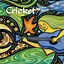 Image result for Cricket Magazine