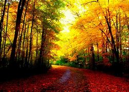 Image result for Cozy Fall Wallpaper 2560X1600