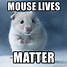 Image result for Any Mouse Meme