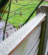 Image result for Anti-Tiger Fence Spikes