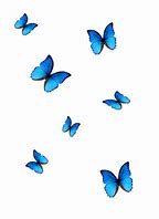 Image result for Aesthetic Butterflies Clip Art