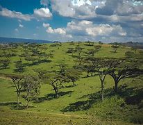 Image result for Kenya Scenery