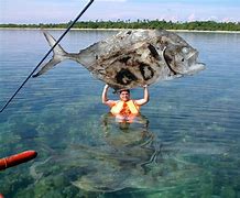 Image result for Local Fish in Philippinse