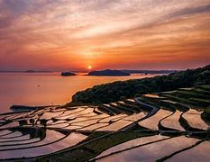 Image result for Japan Landscape Beach