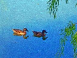 Image result for Two Ducks in the Night Sky Drawing