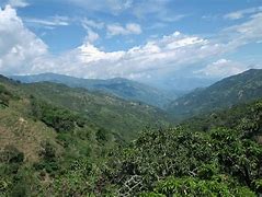 Image result for Valle del Cauca Colombia