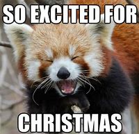 Image result for Exotic Holiday Meme