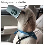 Image result for Forever at Work Meme