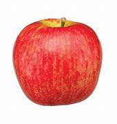 Image result for Michigan Apples Varieties