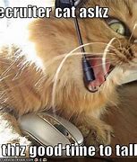 Image result for The Recruiter Cat Meme