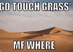 Image result for MTFs Be Like Go Touch Grass Meme