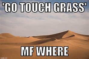 Image result for Go Touch Grass Meme