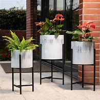 Image result for Floating Plant Stand Set of 3