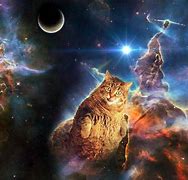 Image result for Funny Galaxy Cat Backgrounds