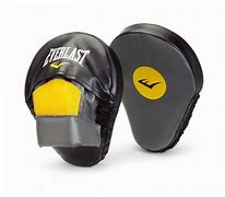 Image result for Punch Mitts