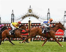 Image result for Melbourne Horse Racing