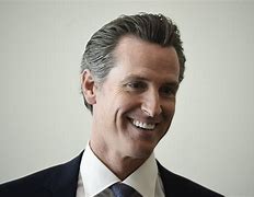 Image result for Gavin Newsom Hair