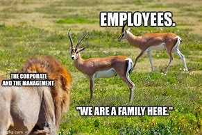 Image result for Work-Family Meme