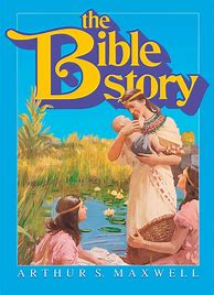 Image result for Bible Story Books for Children
