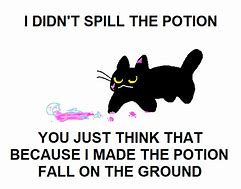 Image result for Sassy Cat Meme