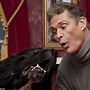 Image result for David Hasselhoff Dogs