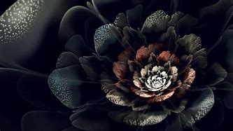 Image result for Black Floral Background